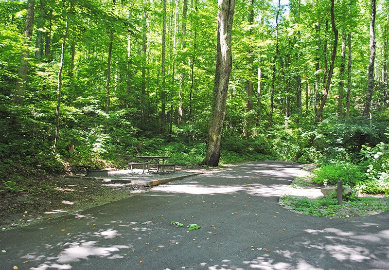 Camper site in Smoky Mountain campgrounds, Cosby