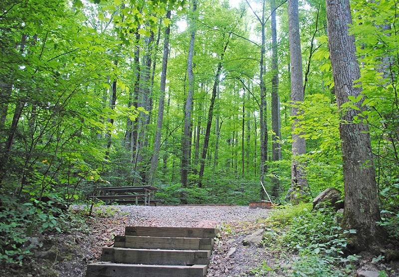 Great Smoky Mountains National Park camping tent site at Cosby