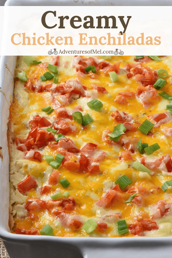 Creamy Chicken Enchilada Recipe