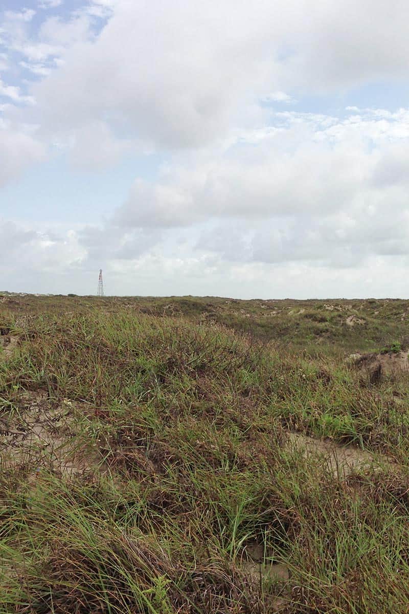 San Jose Island in Port Aransas, Texas