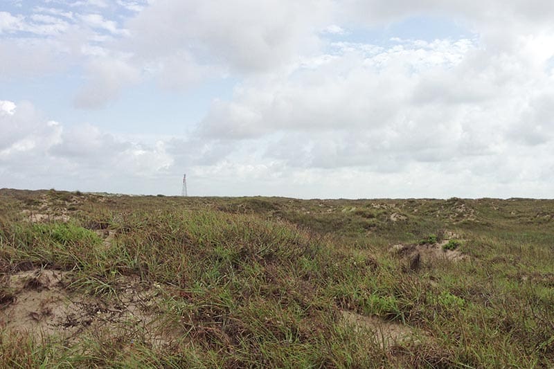 San Jose Island, or Saint Joe's Island, a 5 minute ferry ride from Port Aransas beaches