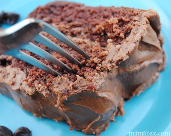 homemade chocolate cake