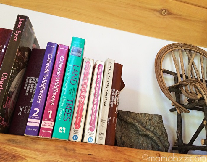 Books to read in Mountain View Chalet {MamaBuzz - mamabzz.com}