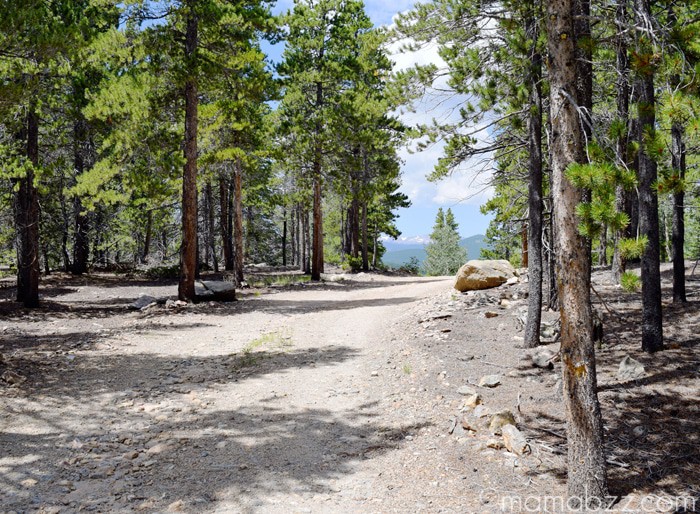Drive to Mountain View Chalet {MamaBuzz - mamabzz.com}