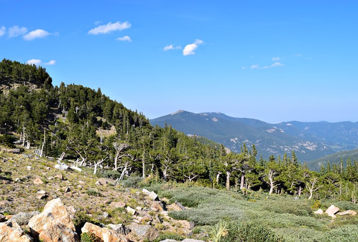 Just beyond Denver, outside Idaho Springs, stands beautiful Mount Evans, a 14,265′ beast of a mountain in the Front Range of the Colorado Rocky Mountains. Travel the highest paved road in North America, the road to the summit of Mount Evans in Colorado.