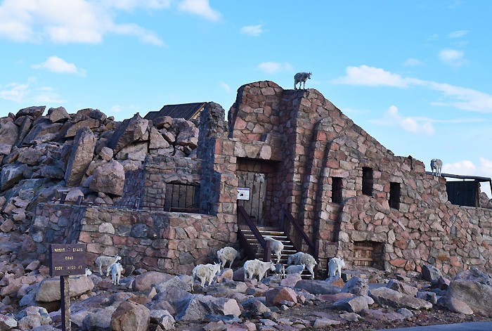 Just beyond Denver, outside Idaho Springs, stands beautiful Mount Evans, a 14,265′ beast of a mountain in the Front Range of the Colorado Rocky Mountains. Travel the highest paved road in North America, the road to the summit of Mount Evans in Colorado.