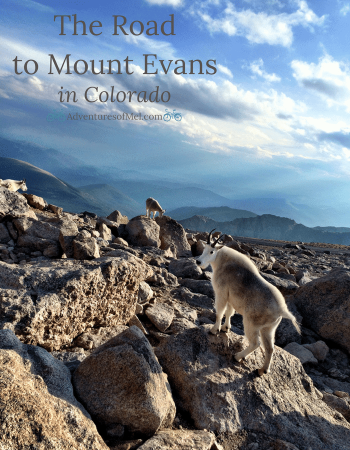 Just beyond Denver, outside Idaho Springs, stands beautiful Mount Evans, a 14,265′ beast of a mountain in the Front Range of the Colorado Rocky Mountains. Travel the highest paved road in North America, the road to the summit of Mount Evans in Colorado.