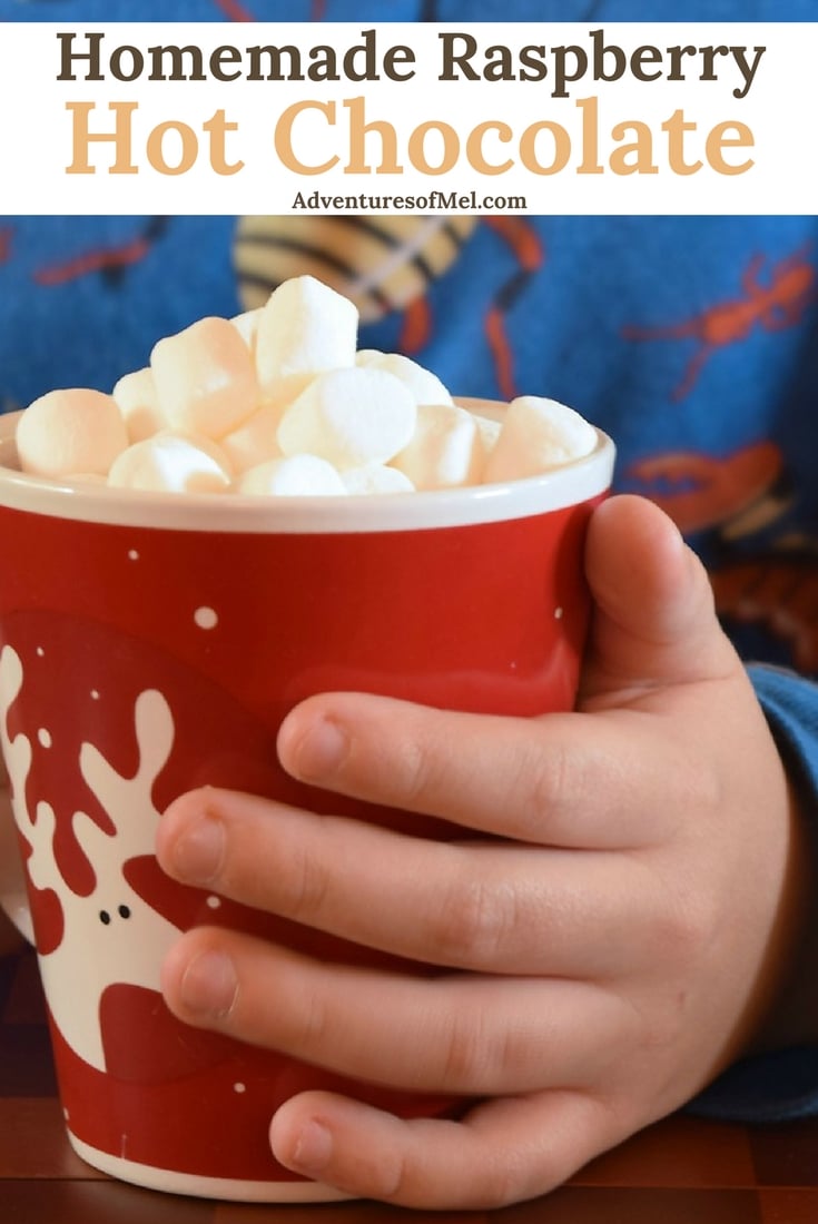 Homemade Raspberry Hot Chocolate, a warm drink perfect for a cold winter day. Cozy up with a delicious cup of creamy delicious hot cocoa.
