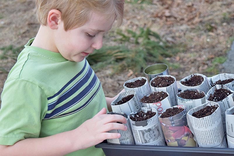 boy child starting seeds in newspaper seedling pots