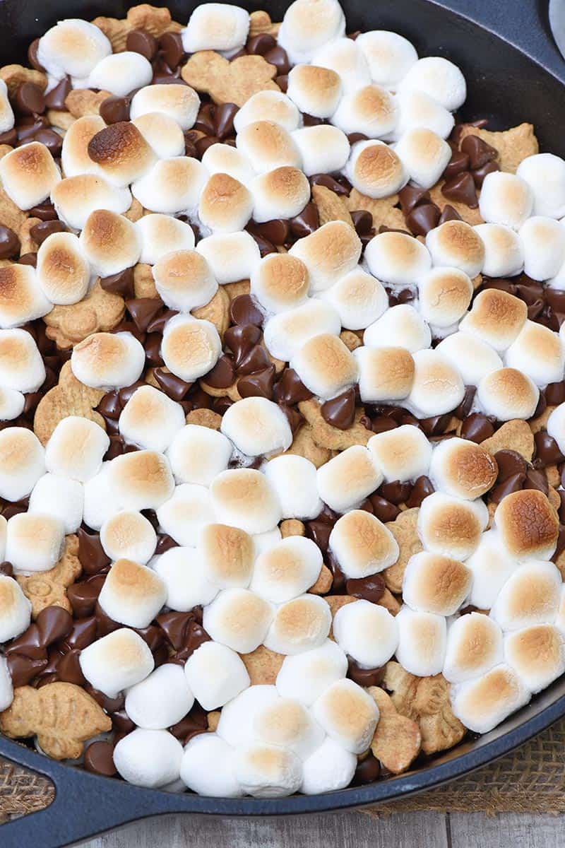 cooked skillet s'mores with melted chocolate, toasted marshmallows, and graham crackers in a cast iron skillet