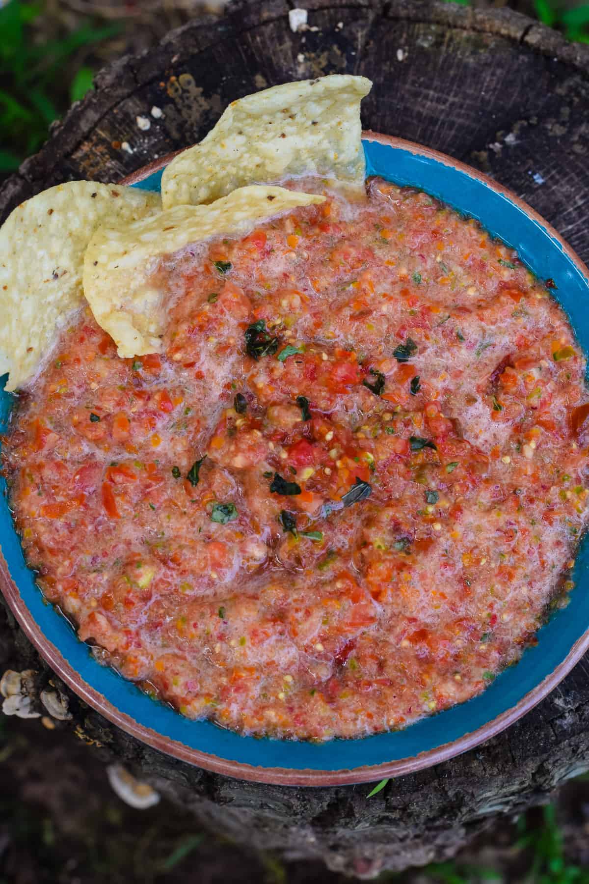 Fresh Tomato Salsa with Basil