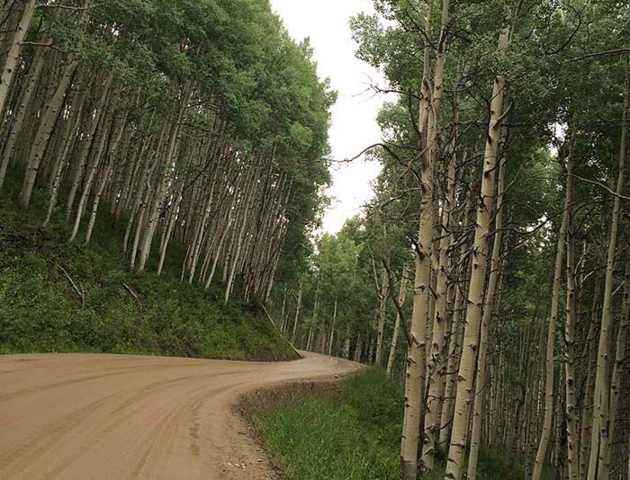 scenic dirt road in Colorado