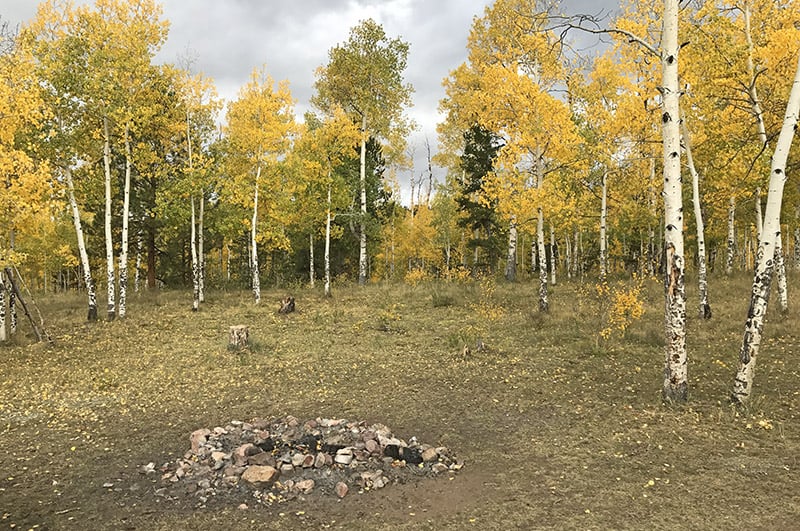 fire ring in national forest camping site in Colorado amongst golden aspen trees