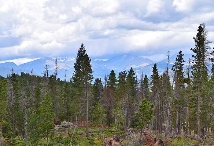 It’s time to take the road less traveled. 12 scenic roads in Colorado to add to your travel bucket list, including scenic byways, national park roads, 4 wheel drive or 4x4 trails, and offroad adventures. Colorado roads that will take your breath away.