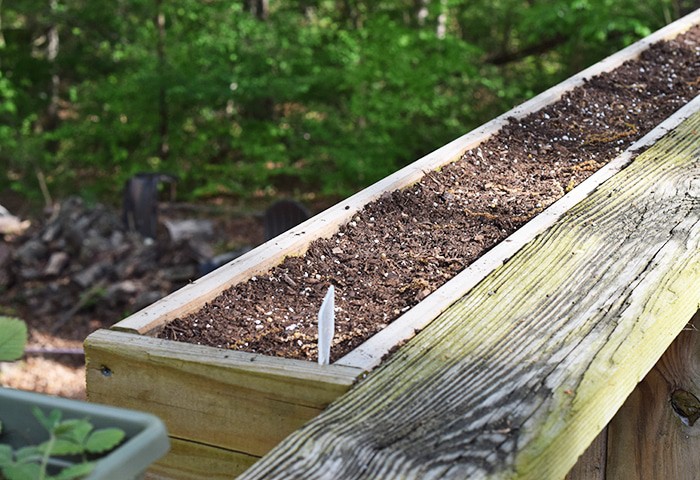 Squirrels eating your tomatoes, strawberries, and just making a mess out of your garden? A simple solution to keep squirrels out of deck rail planters.