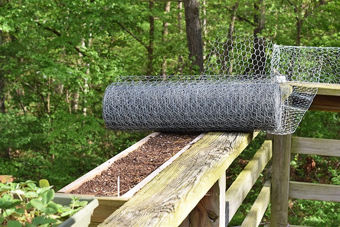 Squirrels eating your tomatoes, strawberries, and just making a mess out of your garden? A simple solution to keep squirrels out of deck rail planters.