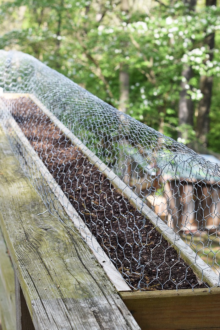Squirrels eating your tomatoes, strawberries, and just making a mess out of your garden? A simple solution to keep squirrels out of deck rail planters.