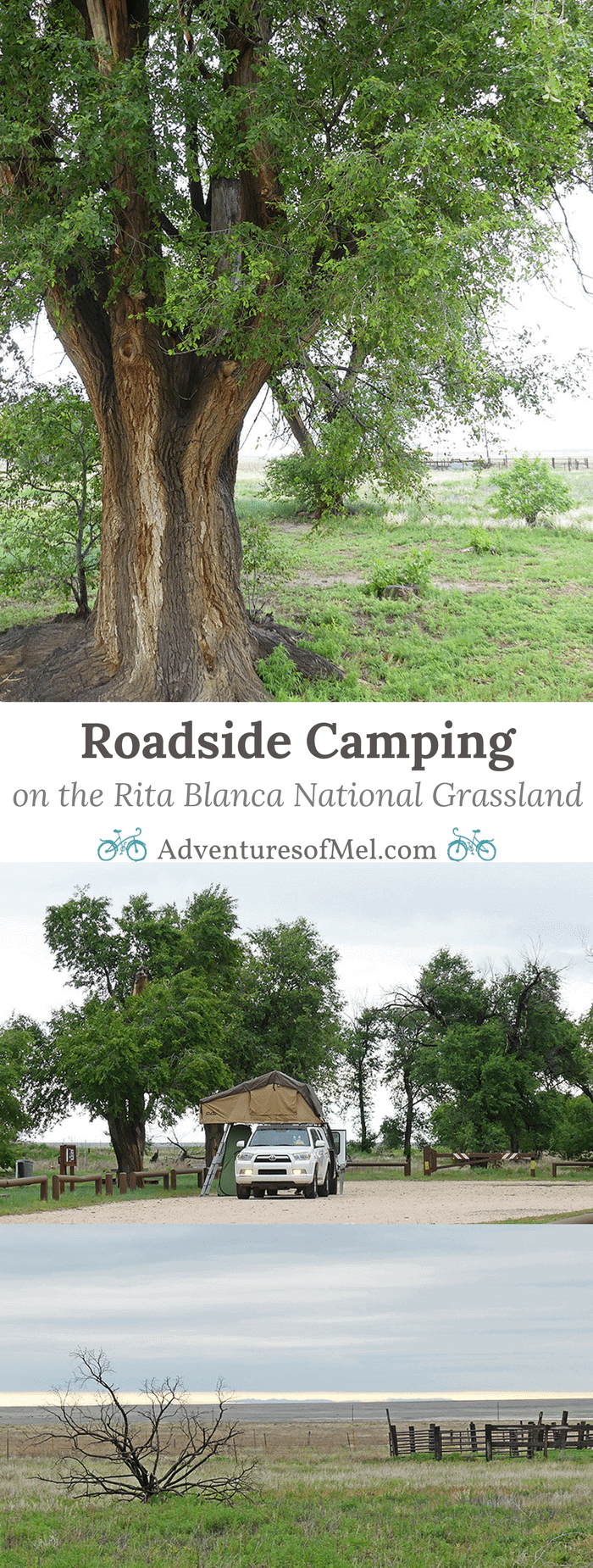 The Rita Blanca National Grassland is a quiet place to stop and camp overnight on a road trip to Colorado or New Mexico. Off the beaten path, roadside camping is allowed at the Thompson Grove Picnic Ground near Dalhart, Texas. The grassland stretches on for miles. On a sunny day, the sky is the bluest blue you can ever imagine. And it's hard to describe the stars on a cloudless night. We've camped here a couple times, this last time a bit stormy and cloudy but no less beautiful.