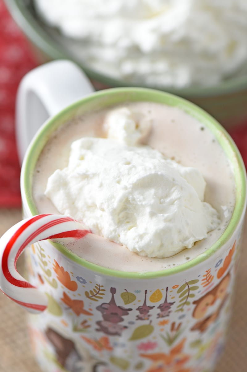 Peppermint Whipped Cream is so easy to make. Perfect topping for your favorite desserts, and I love adding a dollop to my hot chocolate. So deliciously creamy!