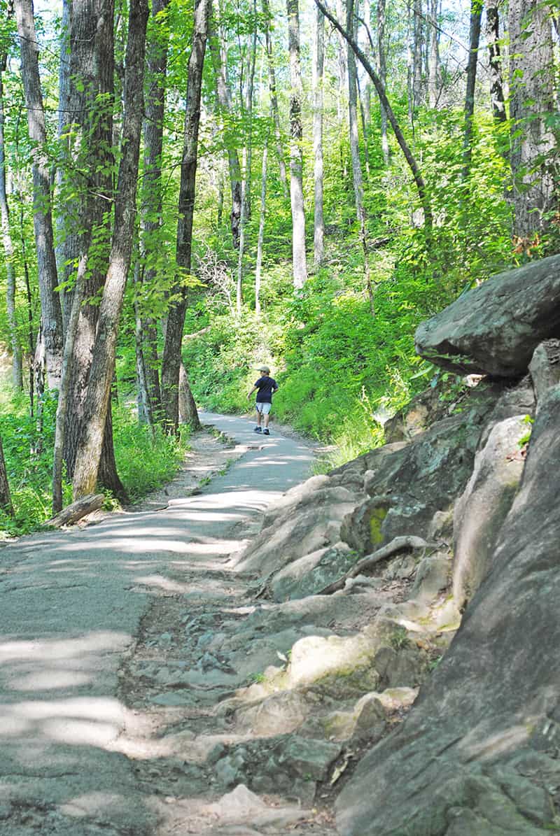 Laurel Falls Trail in Great Smoky Mountains National Park