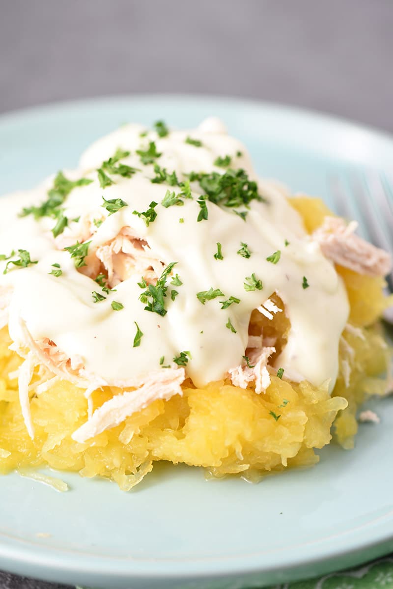 Plate full of easy chicken fettuccine alfredo made with spaghetti squash