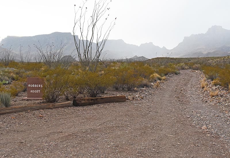Robbers Roost primitive roadside campsite off Juniper Canyon Road in Big Bend National Park