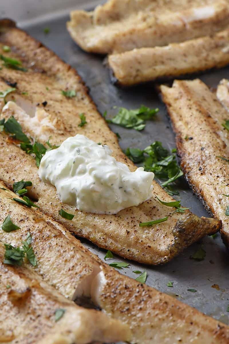 low carb tzatziki sauce on grilled trout