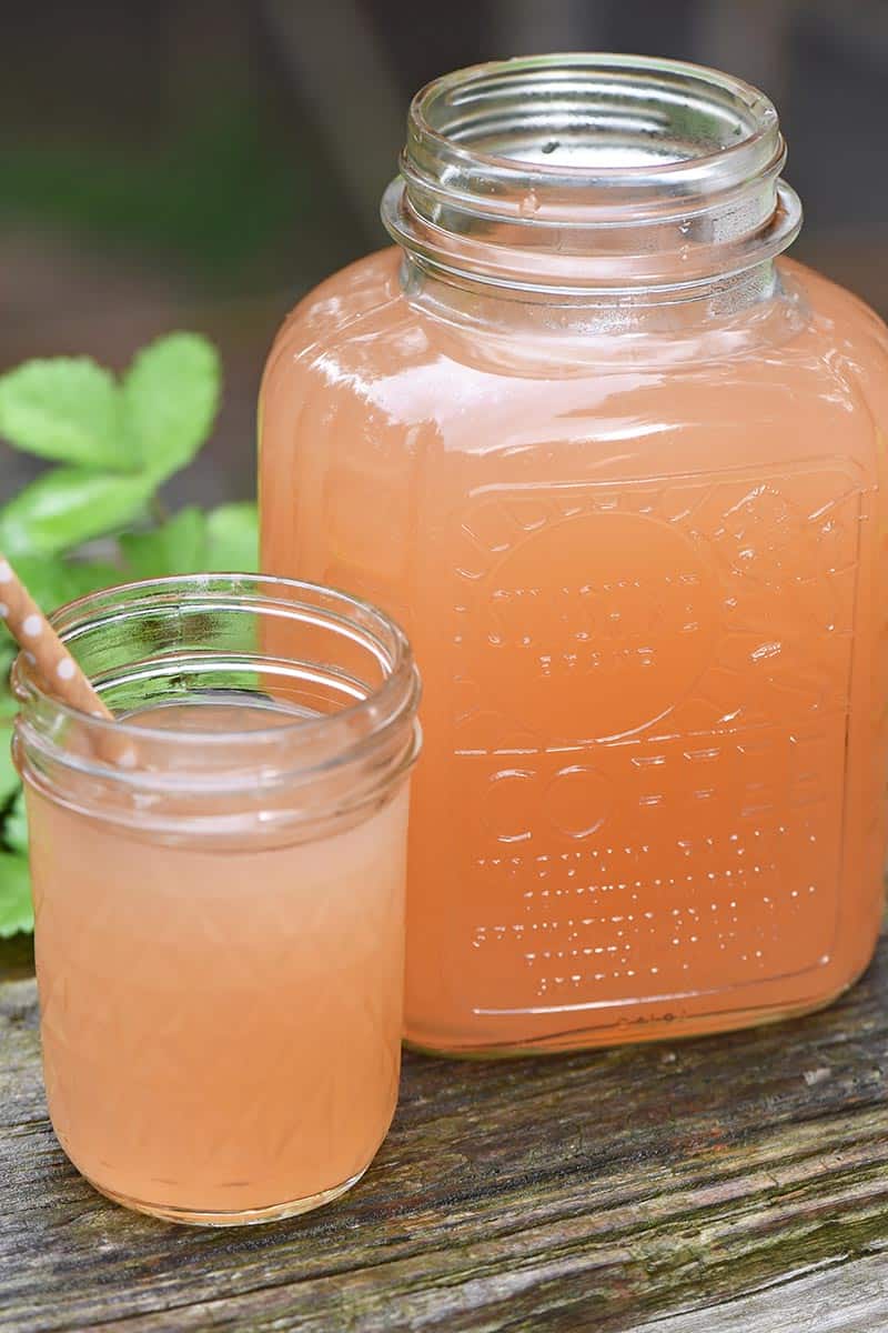 How to Make Homemade Apple Juice without a Juicer