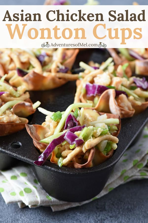 easy wonton appetizers, Asian Chicken Salad Wonton Cups
