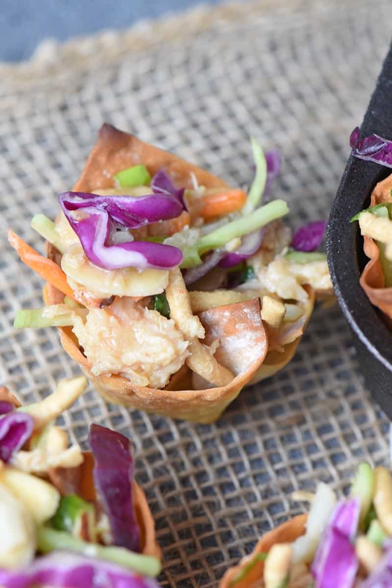 easy chicken salad recipe and wonton recipe with Asian flavors