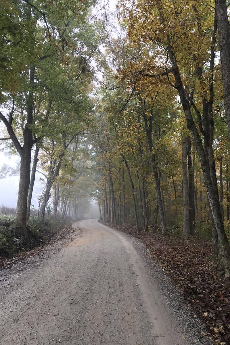foggy autumn road, Cave Mountain Road to Hawksbill Crag Trailhead near Ponca, Arkansas