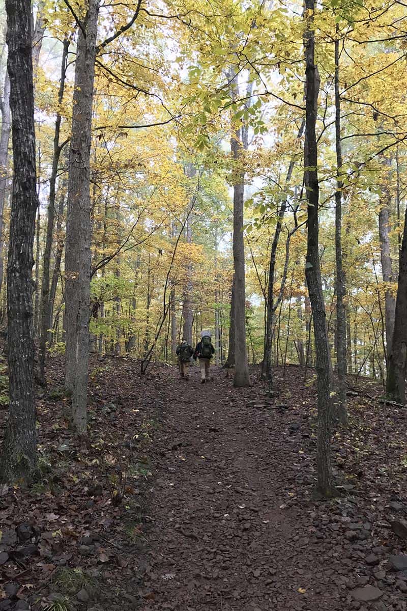 yellow leaves and autumn hike on Hawksbill Crag Trail