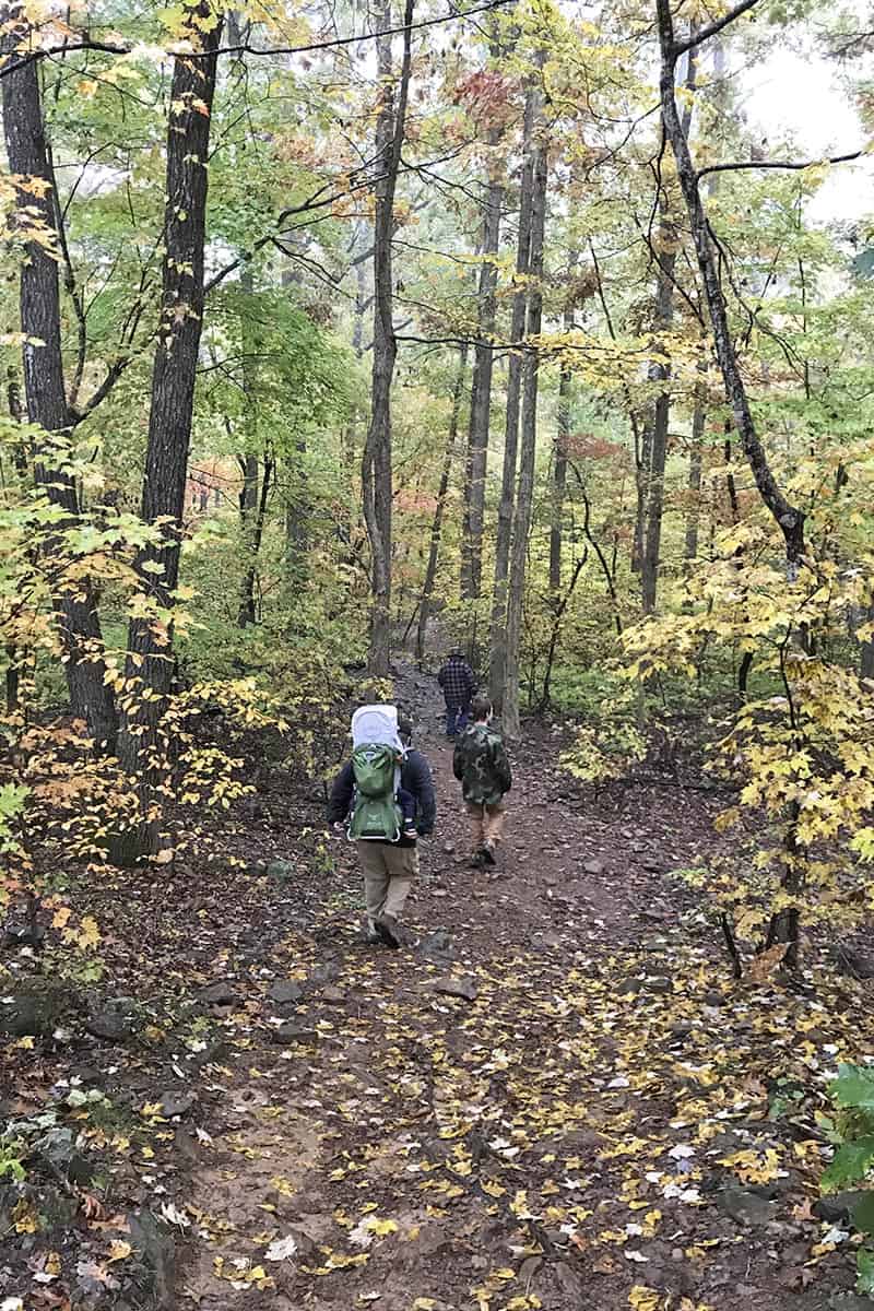 autumn leaves on Hawksbill Crag Trail in Upper Buffalo River Wilderness