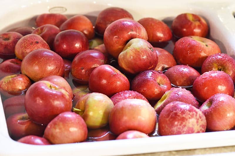 washing apples in sink for cinnamon applesauce recipe