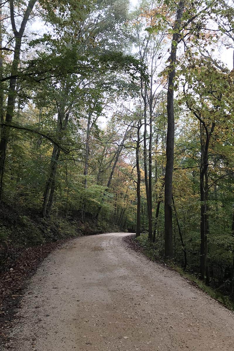Hawksbill Crag Road, 6 mile dirt road to Whitaker Point Trailhead