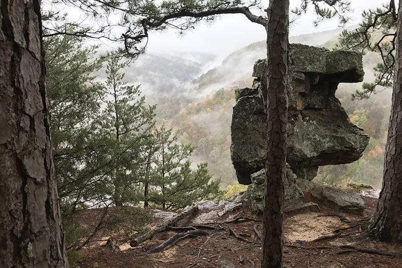 rock formations and foggy autumn colors on Hawksbill Crag Trail in the Upper Buffalo River Wilderness