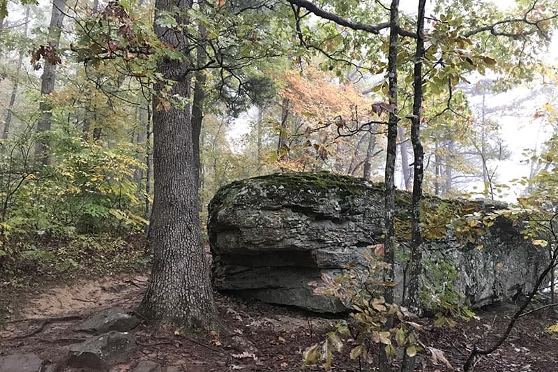 boulder on Hawksbill Crag Trail