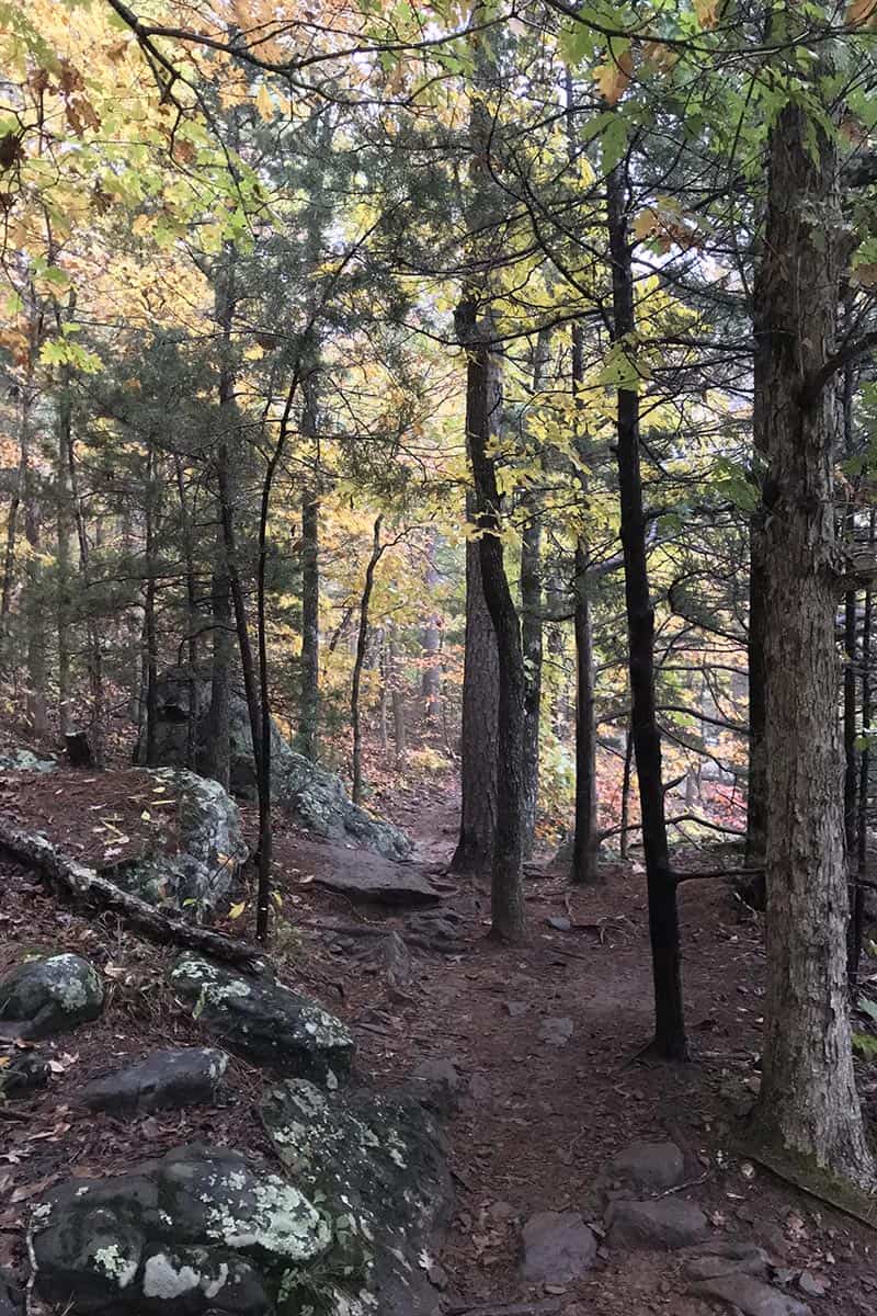 Arkansas hiking trail to Hawksbill Crag in Buffalo National River area in the Natural State