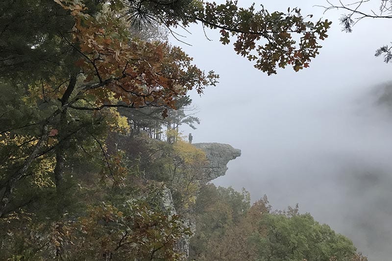 view of Hawksbill Crag from Whitaker Point Trail in the Natural State