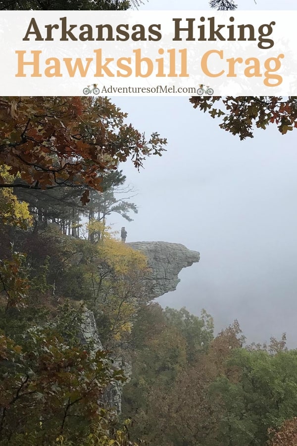 hiking Hawksbill Crag in the Natural State