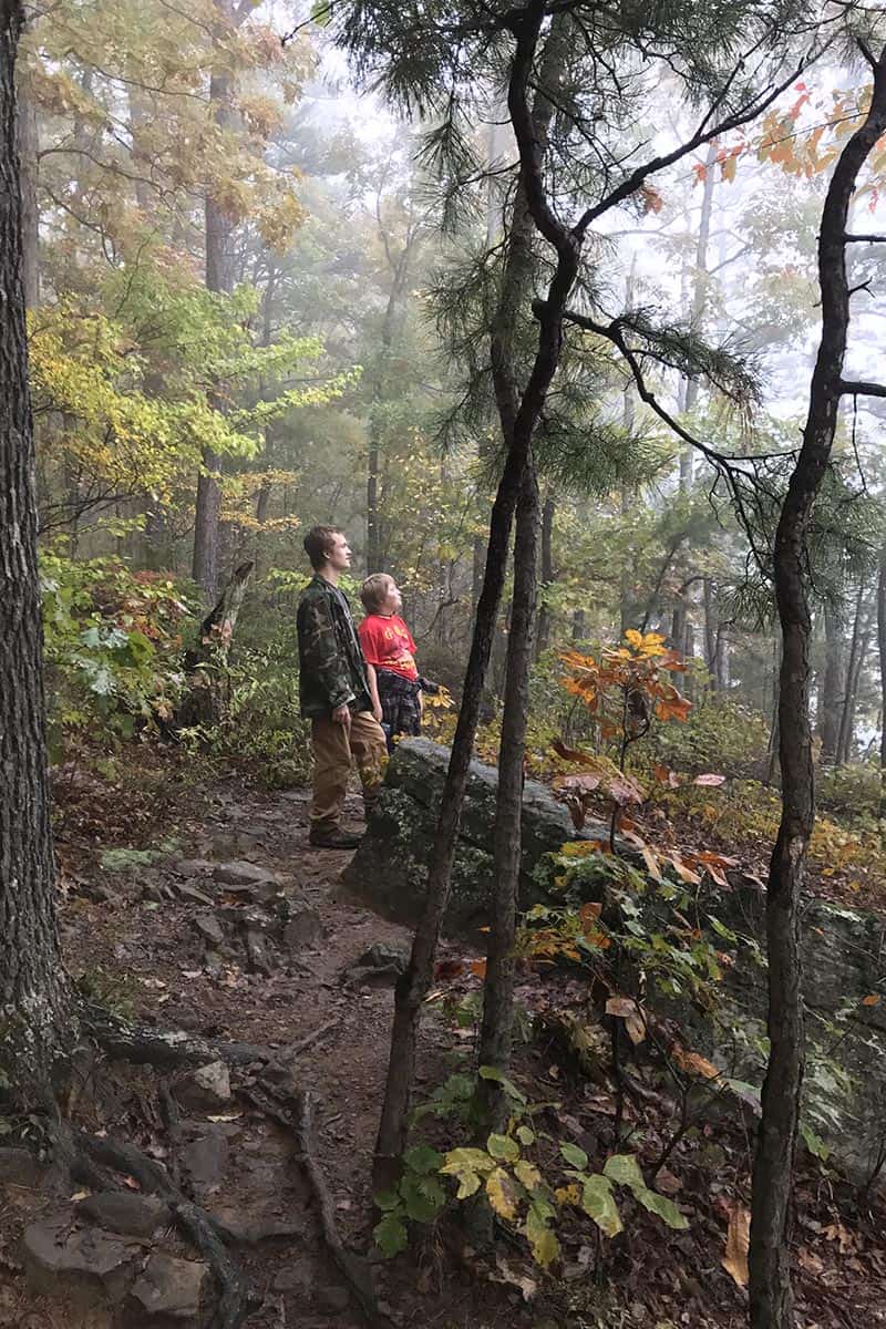 hiking with kids to Hawksbill Crag or Whitaker Point in the Natural State