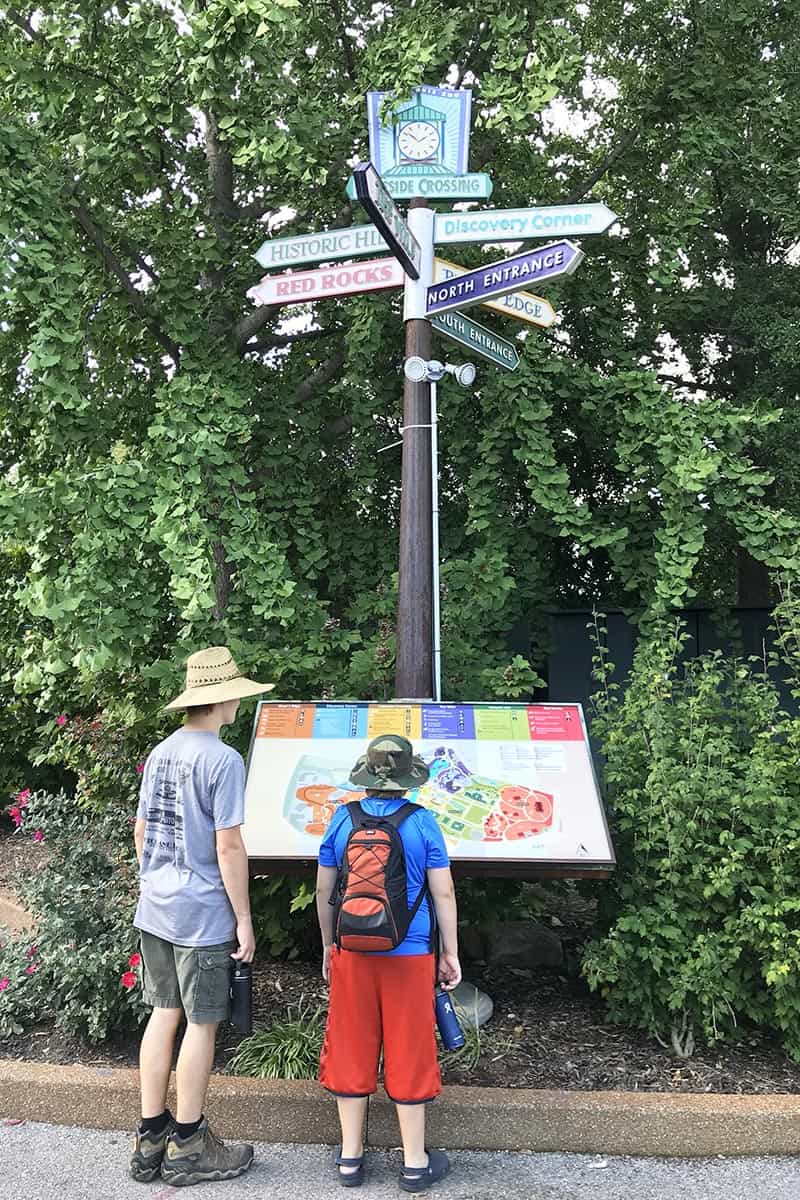 looking at the St. Louis Zoo map in one of the free St. Louis attractions