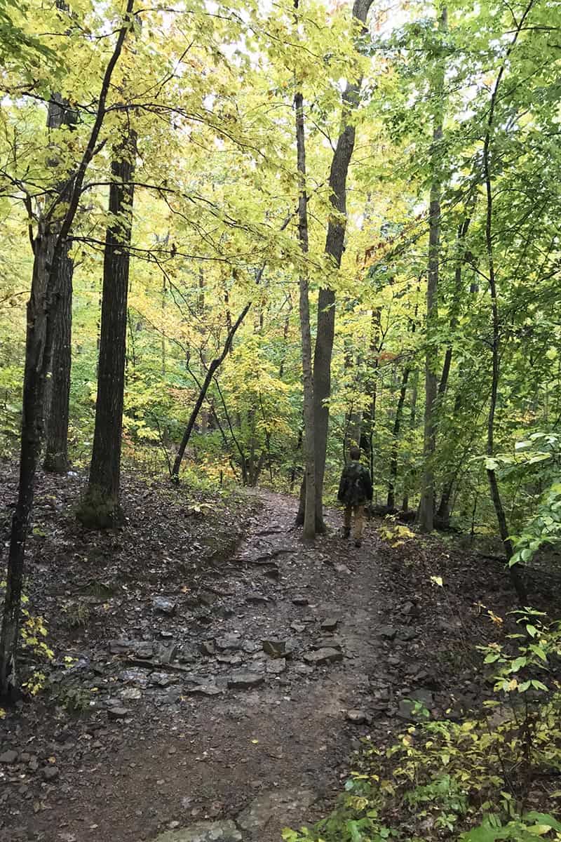 teen boy hiking Whitaker Point Trail in Ozark National Forest in Arkansas