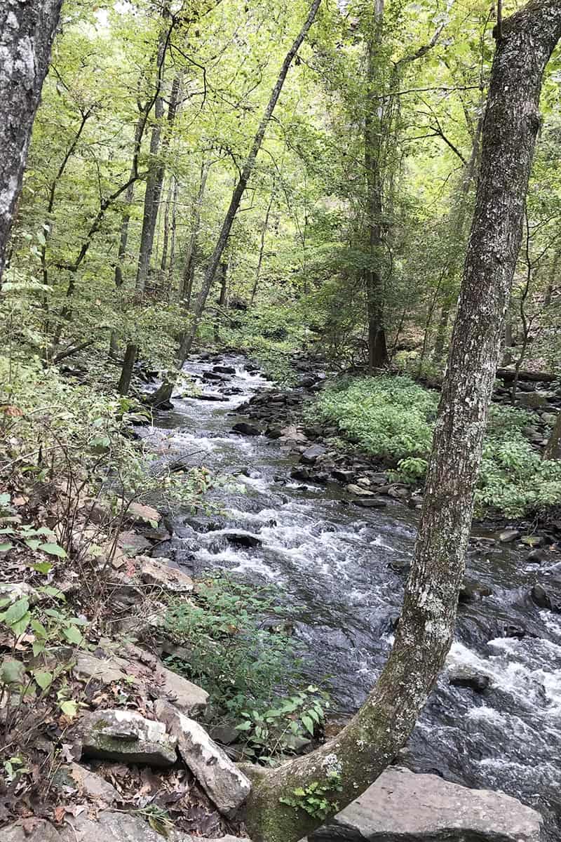 Cedar Creek beside Cedar Falls Trail in Petit Jean State Park