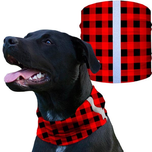 Dog Shields camping and outdoor gifts for your pet