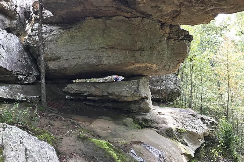 peeking through boulders on the Natural Bridge in Petit Jean State Park
