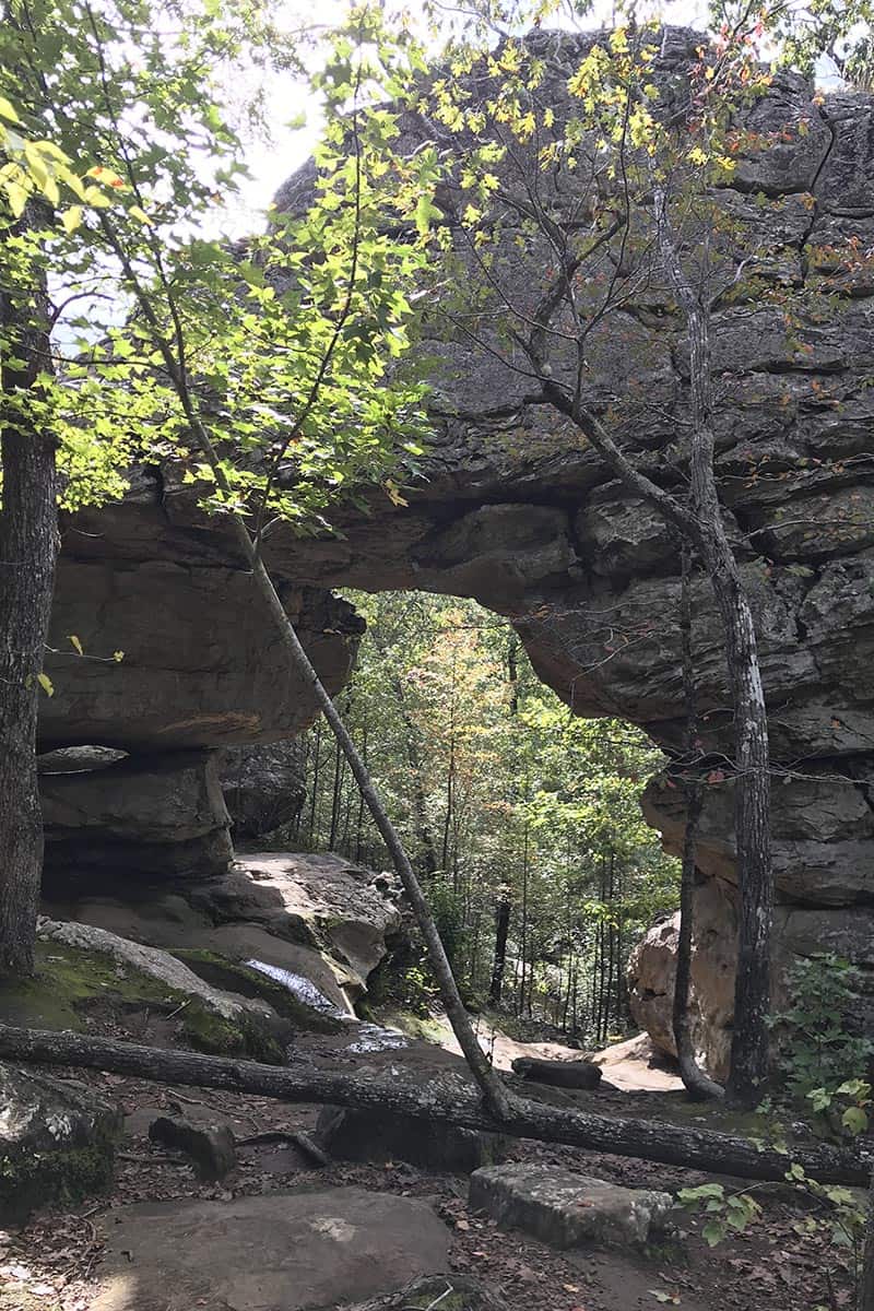 Natural Bridge arch in Petit Jean State Park in fall