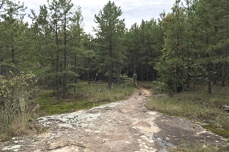 rocky slab on Seven Hollows Trail in Petit Jean State Park