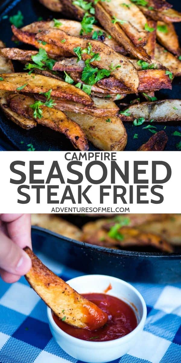 crispy seasoned steak fries recipe