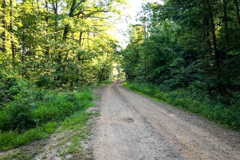 gravel road in the Ozark National Forest